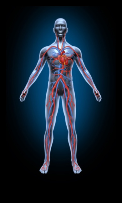 חגיגת מחזור איך פעילות גופנית משפרת את זרימת הדם 5 חגיגת מחזור הדם: ההשפעות החיוביות של פעילות גופנית על זרימת הדם