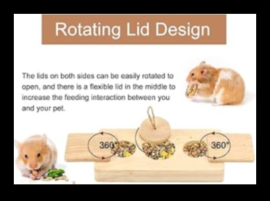 זמן משחק של אוגר: ​​משחקים מהנים ואינטראקטיביים להעשרה