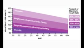 הרם את הדופק שלך: אימונים קרדיווסקולריים לביצועים שיא