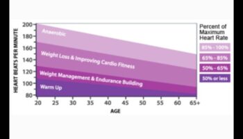 הרם את הדופק שלך: אימונים קרדיווסקולריים לביצועים שיא