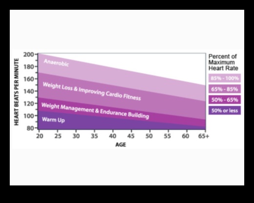 הרם את הדופק קבל את הלב שלך לפעום ביצועים שיא 1 הרם את הדופק שלך: אימונים קרדיווסקולריים לביצועים שיא