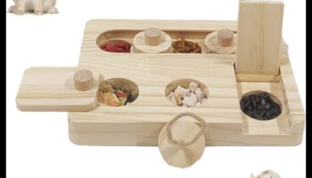 זמן משחק של אוגר: ​​משחקים מהנים ואינטראקטיביים להעשרה